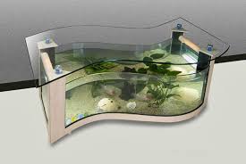 We did not find results for: Aquarium Coffee Table Design Images Photos Pictures