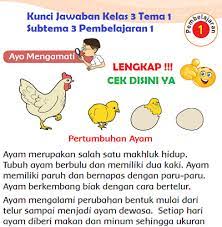 Kunci jawaban kelas 3 sd tema 1 halaman 72 73 74 75 dan 80. Lengkap Kunci Jawaban Kelas 3 Tema 1 Subtema 3 Pembelajaran 1 Simple News Kunci Jawaban Lengkap Terbaru