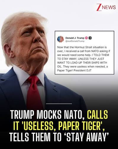 Donald Trump criticised North Atlantic Treaty Organization (NATO), calling  it a “paper tiger” and saying he told member nations to stay away after  they offered help during the Strait of Hormuz situation,