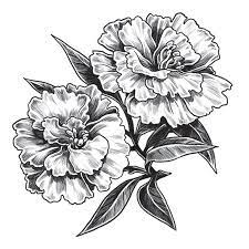 Check spelling or type a new query. Carnation Temporary Tattoo Pickazona