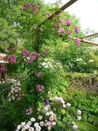 Notre Jardin Secret Charming Garden Cottage Garden Outdoor Gardens