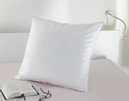 Pillows Issen 80x80 1000gramm 90 Federn 10 Daunen Serie Moon Bettwasche Home Schlafzimmerideen Bedroom Pillows Kissen Bettdecken Schlafzimmertextilien