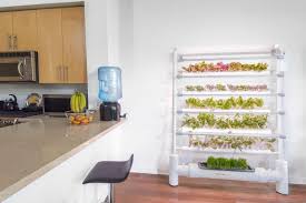 If placing the system in an one of the easiest ways to plant a hydroponic garden is to use purchased seedlings. Ces 2017 Opcomlink Usa Showcased Connected Indoor Hydroponic Gardening Systems