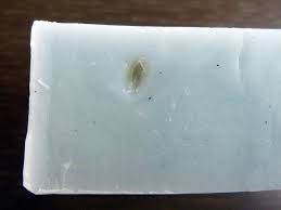Mon Savon Est Rate Que Faire Revons Savon Savon Recettes De Savon Maison Recettes De Savon