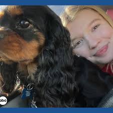 How proposed tariffs could drive up the price of pet care