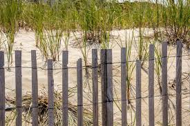 Nancy Galligan photos, images, assets