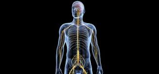 Gbs can range from a very mild case with brief weakness to nearly devastating. Sindrome De Guillain Barre Hospital Portugues Da Bahia Hospital Portugues Hospital Portugues