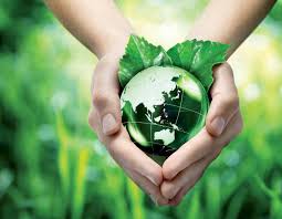 Latest news updated advice for hsc students. Nsw Government Releases Covid 19 Guidance For Waste And Recycling Industry Inside Waste