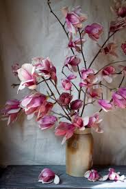 Beautyeveryday Southern Beauty Creativity And Food Japanese Magnolias Flower Pictures Beautiful Flowers Japanese Magnolia