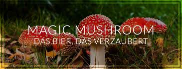 Here's how you can get shrooms, without breaking the law! Magic Mushroom Das Bier Das Verzaubert Bierplus Craft Bier Im Online Shop Kaufen Bierverkostungen Craft Beer Verkostung Wien
