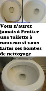 Vous N Aurez Jamais A Frotter Une Toilette A Nouveau Si Vous Faites Ces Bombes De Nettoyage Dog Bowls