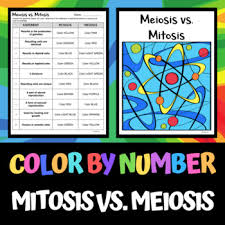 A key difference between daughter cells resulting from mitosis and meiosis is that: Mitosis Vs Meiosis Color By Number Science Laney Lee