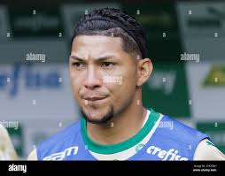 Rony palmeiras hi-res stock photography and images