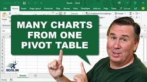 Learn Excel 2010 Many Charts But One Pivot Cache Podcast 1596 Youtube