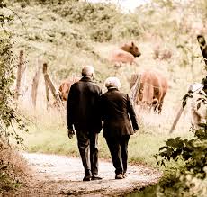 Nick bannister, a private investigator of the mind, navigates the alluring world of the past when his life is changed by new client mae. Reminiscence Therapy And Life Review Empowering Older Adults H I S Cornerstone