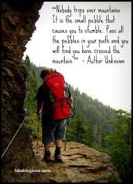 Let S Go For A Hike Hiking Quotes Outdoor Quotes Inspirational Quotes