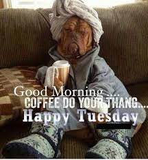 More images for hilarious tuesday quotes funny » Happy Tuesday Funny Quotes Pictures Images And Meme Mylovelytext Com