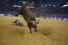 Raging bull movisubmalay official, raging bull malaysubmovie, raging bull subscene, raging bull movisubmalay official, raging bull mysplix , raging bull sub malay, malay sub movie raging bull. 10 Things You Didn T Know About The Bulls Of Pbr