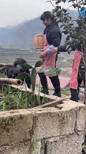 #life #animal #日常 #poorgirls