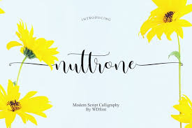 It is a modern stencil interpretation of granjon oldstyle, highlighted by large elongated serifs. Nuttrone Script 238085 Script Font Bundles
