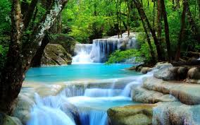 Waterfall Image For Desktop Wallpaper 2560 X 1600 Px 1 2 Mb Rainforest Tropical Natures Flowers Beautiful Widescreen Travel Forest Hd Pejzazhi Vodopady Fotooboi