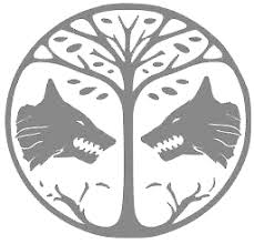 Compatibility these accessory components are compatible with all questoris class. Iron Banner Destiny Wiki Fandom
