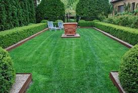 outdoor landscaping, backyard