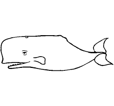 If your child loves interacting. Blue Whale Coloring Page Coloringcrew Com