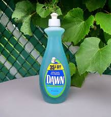 Birds Eye Frozen Squash Discontinued Vintage 1970 S Early Design Dawn Liquid Dish Soap Detergent Full Bottle 22 Oz Detergent Soap Dawn Dish Soap Liquid Dish Soap