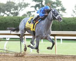Concert tour and trainer greg foley told horse racing nation that if o besos made the cut, he would enter the race. Essential Quality 2022 Kentucky Derby Oaks May 6 And May 7 2022