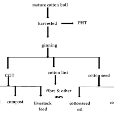 Flowchart Of Cotton Processing From Field To Cotton Gin