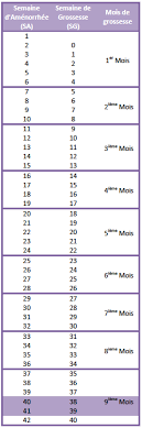 Check spelling or type a new query. Semaines De Grossesse Ou Semaines D Amenorrhee Le Parent Blues Jamais