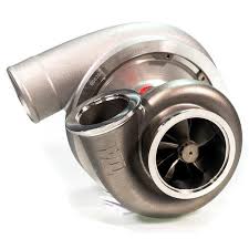 Image result for Turbina holubii