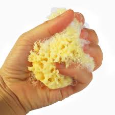 Coloration can also change, as the sea is rich in sea minerals that your body loves, including sodium, magnesium, calcium, potassium, iron, zinc, and so much more! Wash Face Seaweedbath Brushes Natural Ocean Sea Sponge Bath Body Shower Washing Spa Bathroom Shower Tools Cleaning Supplies Buy At The Price Of 4 34 In Aliexpress Com Imall Com