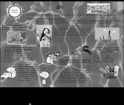 Tus libros de texto en internet. Https Media Educacioncampeche Gob Mx File File 9e8a862e7a2c3fde31d08ef3e7e30ffc Pdf