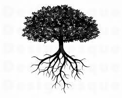 Tree with roots silhouette from trees, nature, and plants. Tree With Roots Svg Family Tree Svg Tree With Roots Clipart Etsy In 2021 Tree With Roots Drawing Tree Svg Family Tree Art