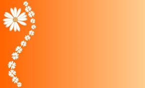 Daisies On Orange Background 871294684567f83 فصحى لعلوم اللغة