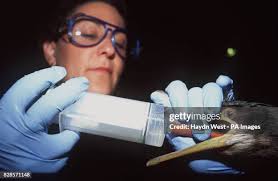 34 Barbara Gallegos Stock Photos, High-Res Pictures, and Images