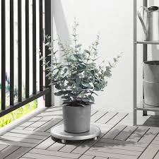 Fejka Konstgjord Krukvaxt Inom Utomhus Eukalyptus Ikea In 2020 Artificial Potted Plants Eucalyptus Plant Indoor Indoor Plants