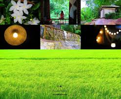 062 318 6886 email : River Tales à¸¥à¸²à¸™à¸à¸²à¸‡à¹€à¸• à¸™à¸— à¹à¸ à¸‡à¸à¸£à¸°à¸ˆà¸²à¸™ à¸ªà¸²à¸¢à¸˜à¸£à¸£à¸¡à¸Šà¸²à¸• à¸• à¸­à¸‡à¸¡à¸²