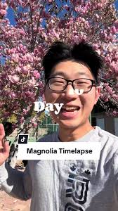 Flowers Blooming Time Lapse