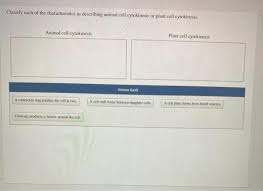 Animal cell and plant cell cytokinesis. Classify Each Of The Characteristics As Describing Chegg Com