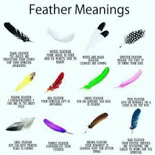 Black And White Spotted Butterfly Meaning Feather Meanings Feather Meaning Feather Color Meaning White Feather Meaning