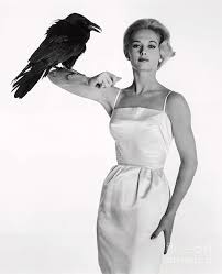 Actress image zip collection / actress image zip collection celebrity jewelry on display in vero beach more than 100 pictures of cute and charming women in this zip package blog artefak kuno : Actress Tippi Hedren Posing With A Raven By Bettmann