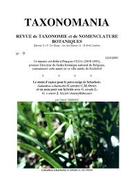 Image result for Tridactyle scottellii