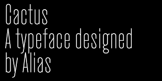 Included is cactus flower (.otf) and vector icons & ornaments. Cactus Siesta Abstract Fonts Download Free Fonts