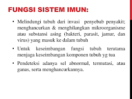 Dia lain sikit hehe, the only boboi kot. Sistem Pertahanan Tubuh Ppt Download