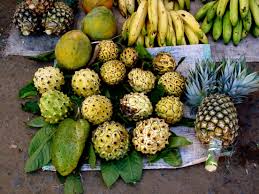 Antananarivo Jenman African Safaris Antananarivo African Safari Fruit