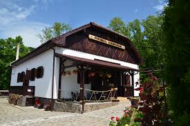 Aceasta pagina este dedicata unitatii de cazare hotel doina 1 si doina 2 ce ofera cazare, este inscrisa pe hvp in categoria hoteluri, zona turistica transilvania, in judetul satu mare, localitatea tasnad str. Galerie Foto Pensiunea Popasul Codrelinlor Oteloaia