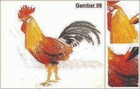 Dengan langkah demi langkah, membuat menggambar me. Cara Mewarnai Gambar Dengan Crayon Untuk Pemula Seni Budayaku